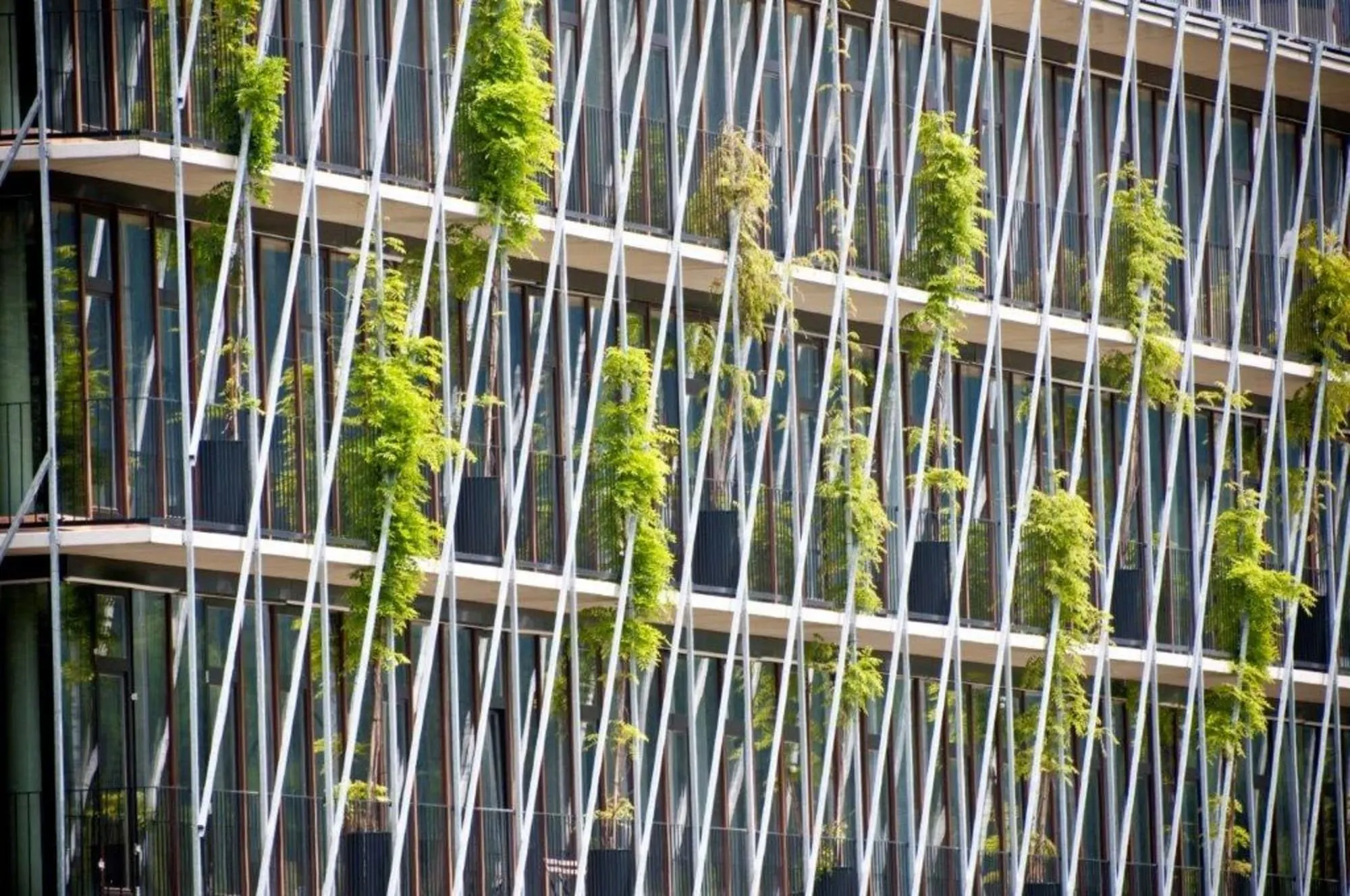 Frontale Ansicht der begrünten Fassade des SOHO 2.0